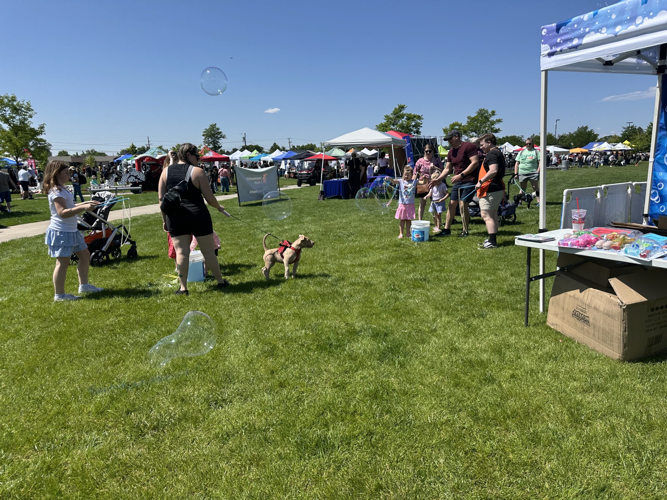 Families enjoying bubbles at a neighborhood gathering